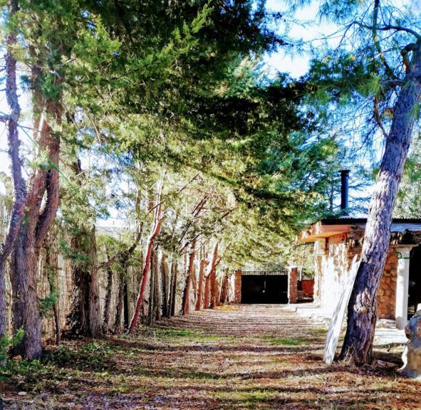 La Cabana De Piedra Ruidera Buitenkant foto